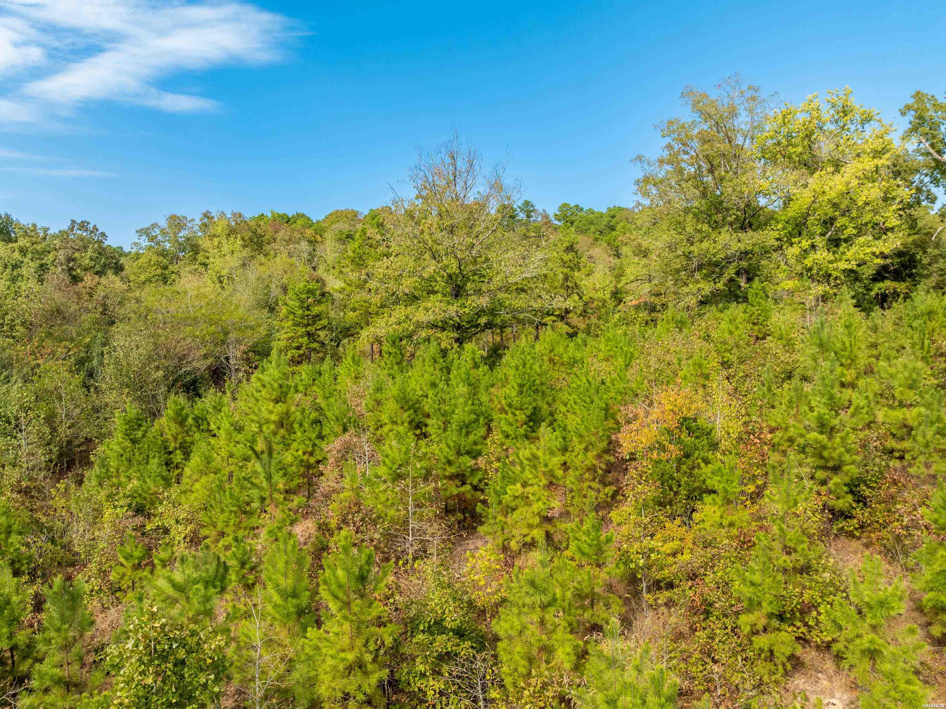 2164 Old Bear Road Property Photo 41