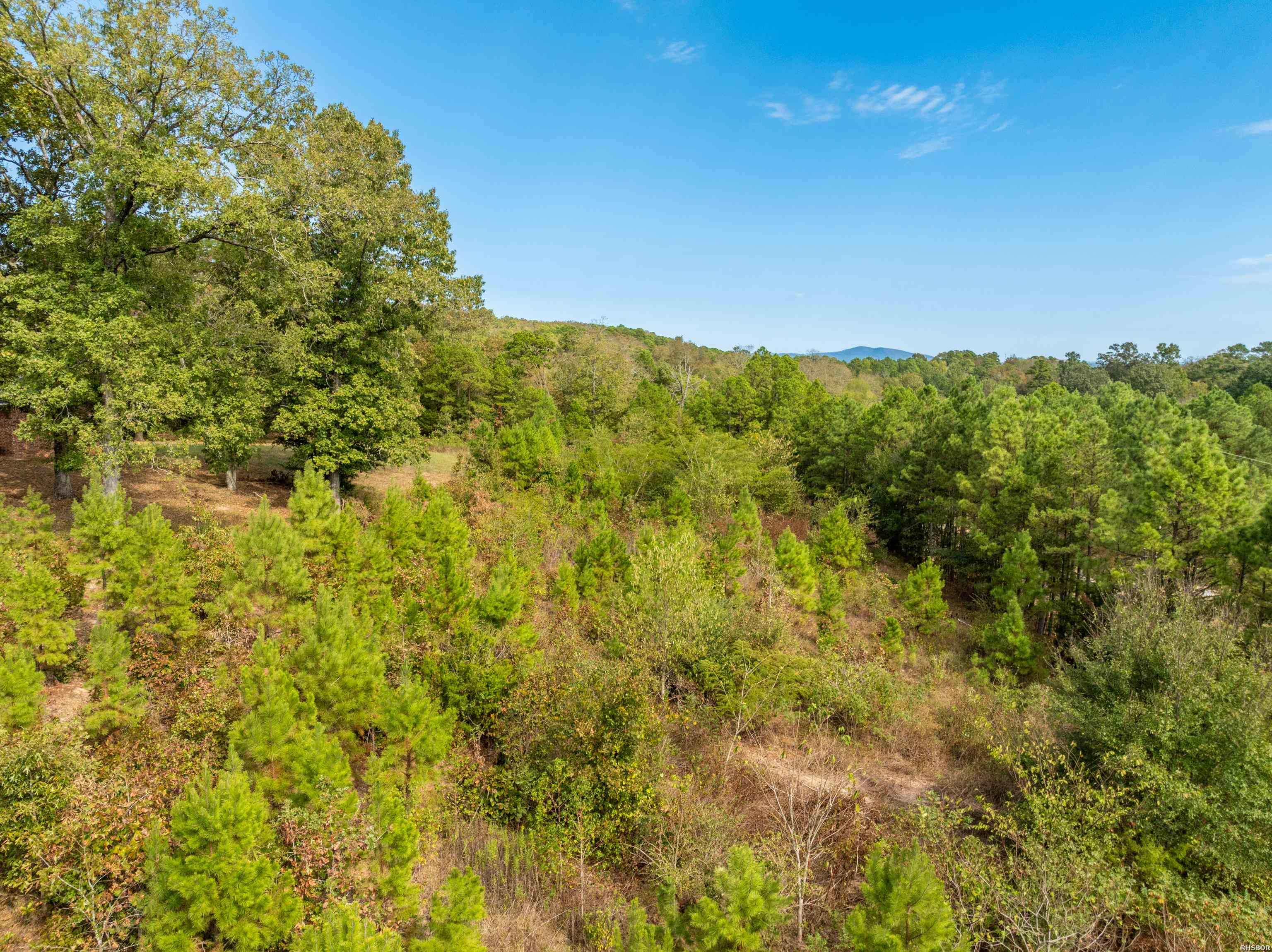 2164 Old Bear Road Property Photo 43