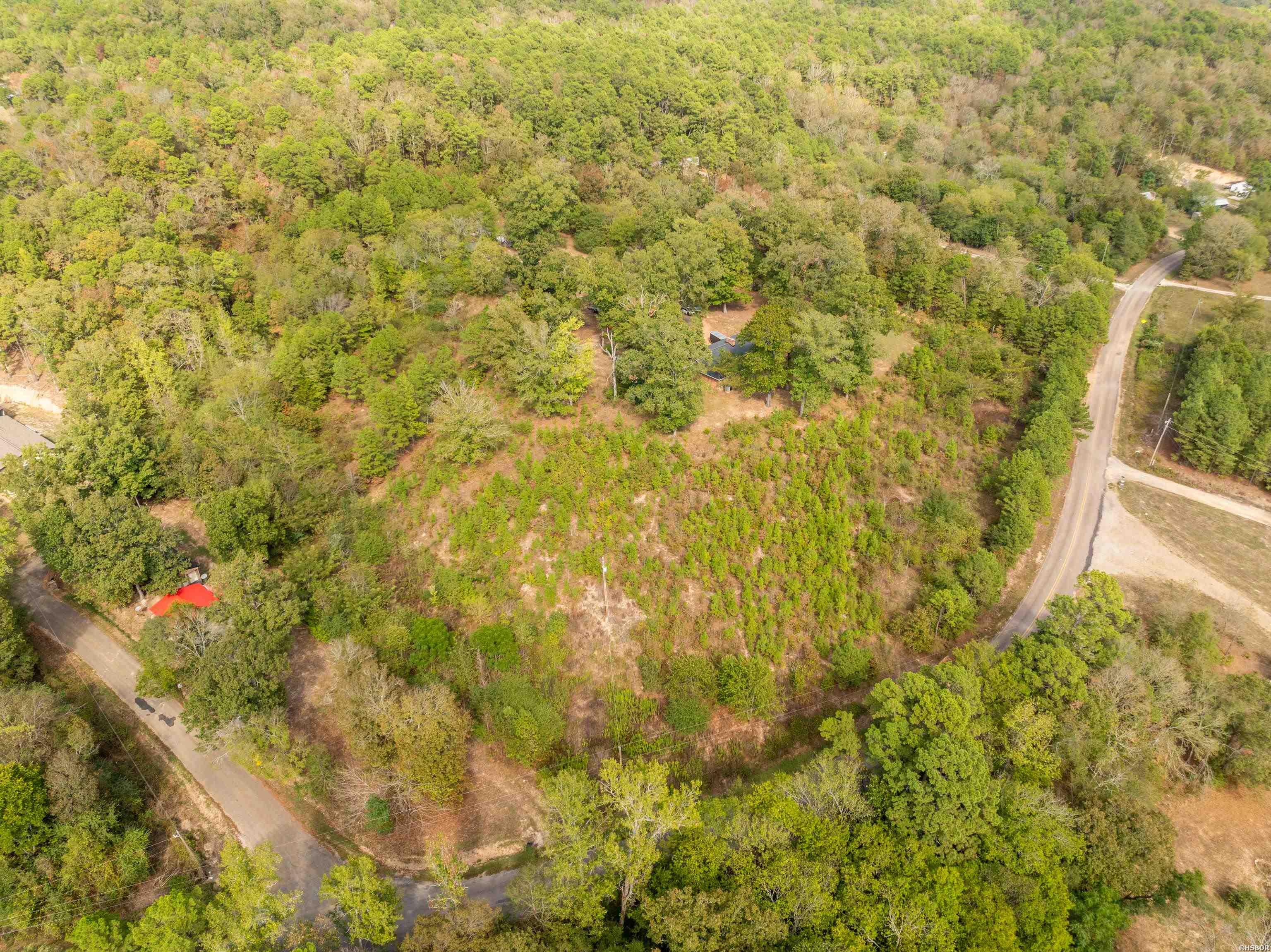2164 Old Bear Road Property Photo 45
