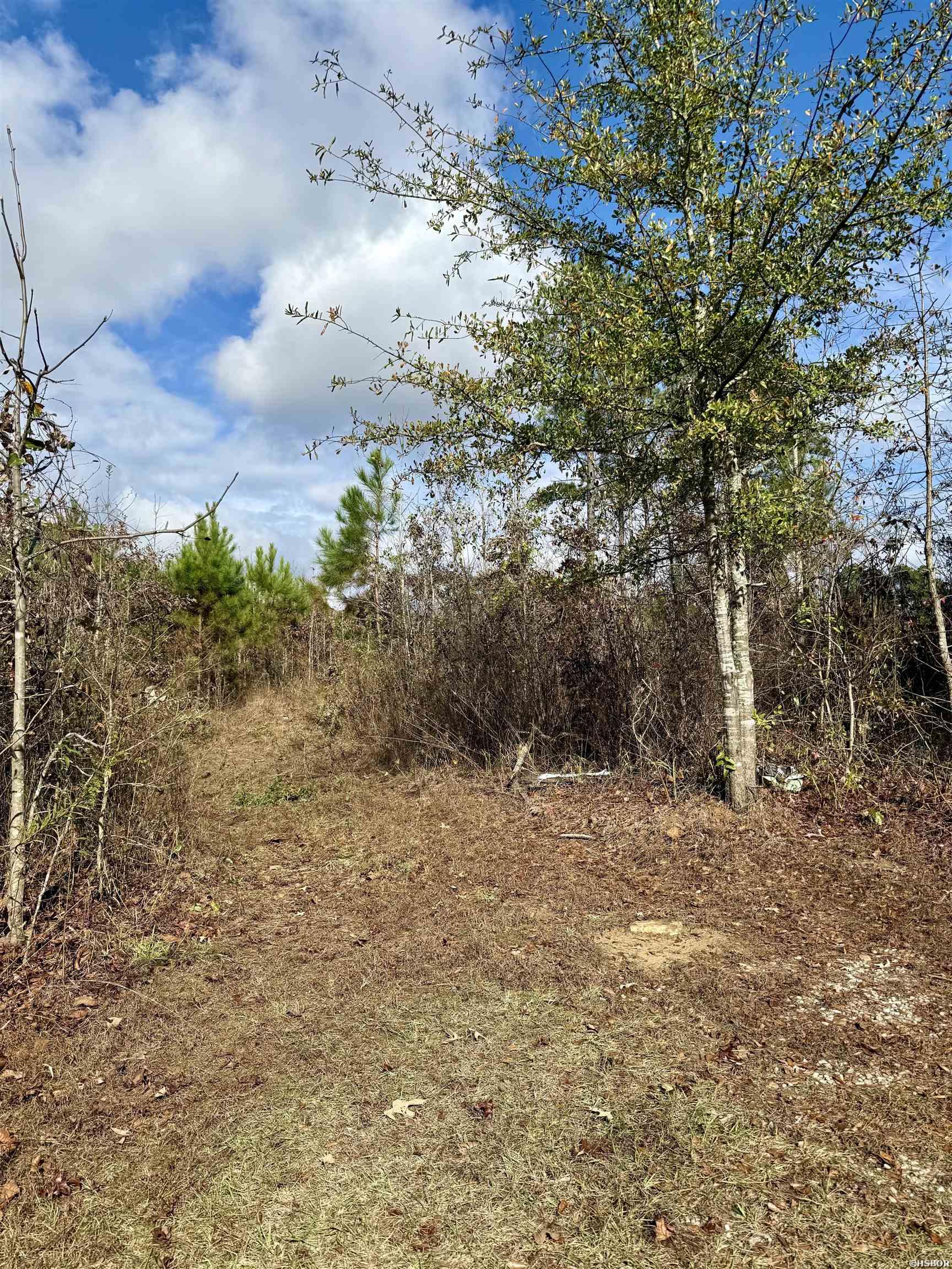 2470 Highway 84 Property Photo 4