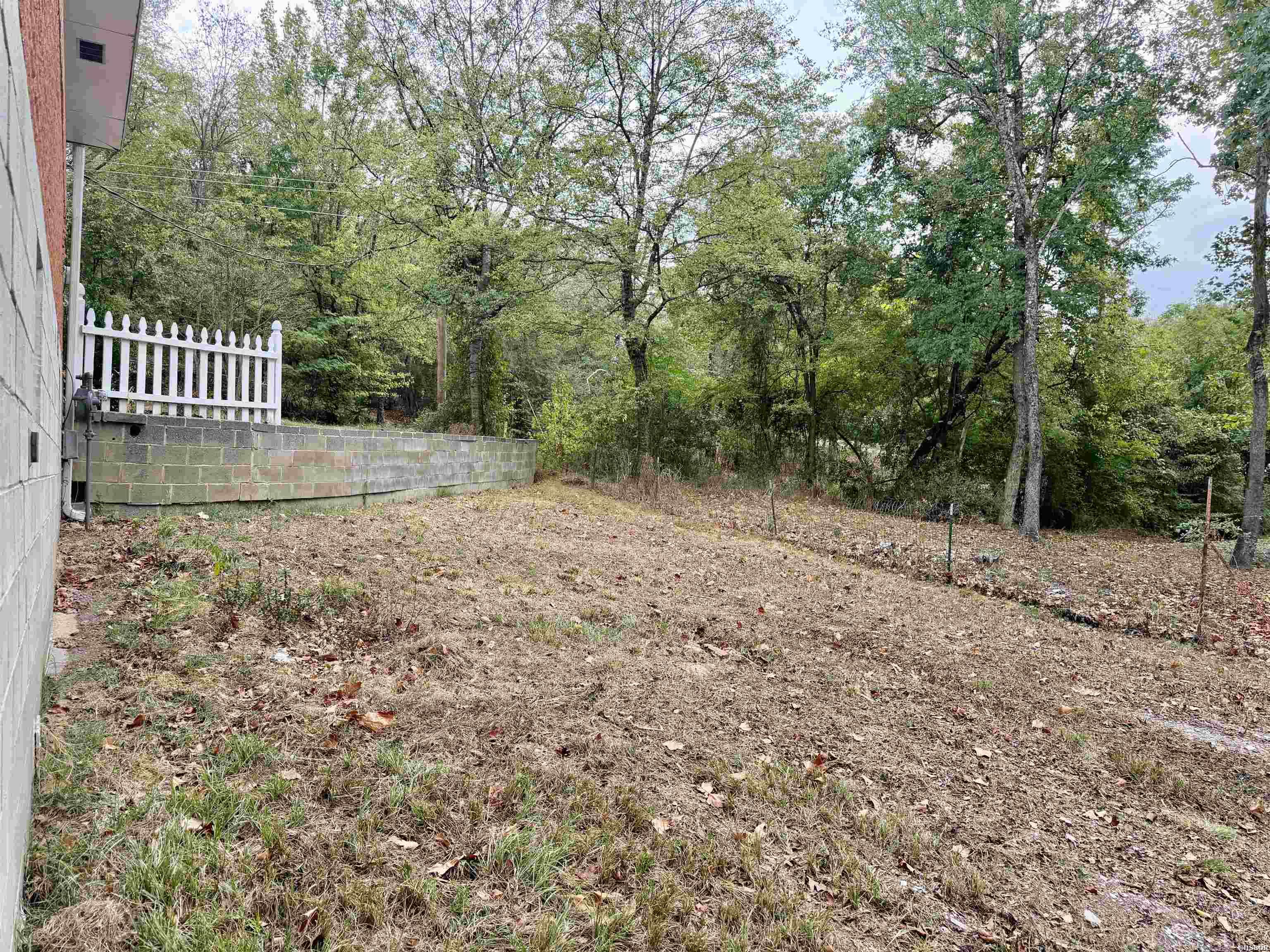 209 Music Mountain Property Photo 30