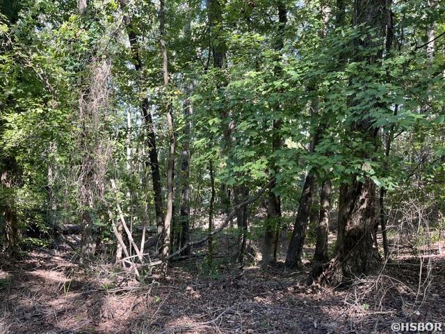 000 Sabiote Way Property Photo 1