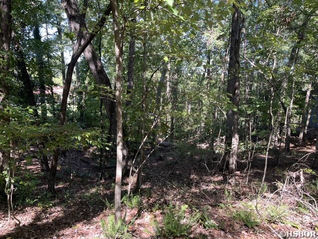000 Sabiote Way Property Photo 2