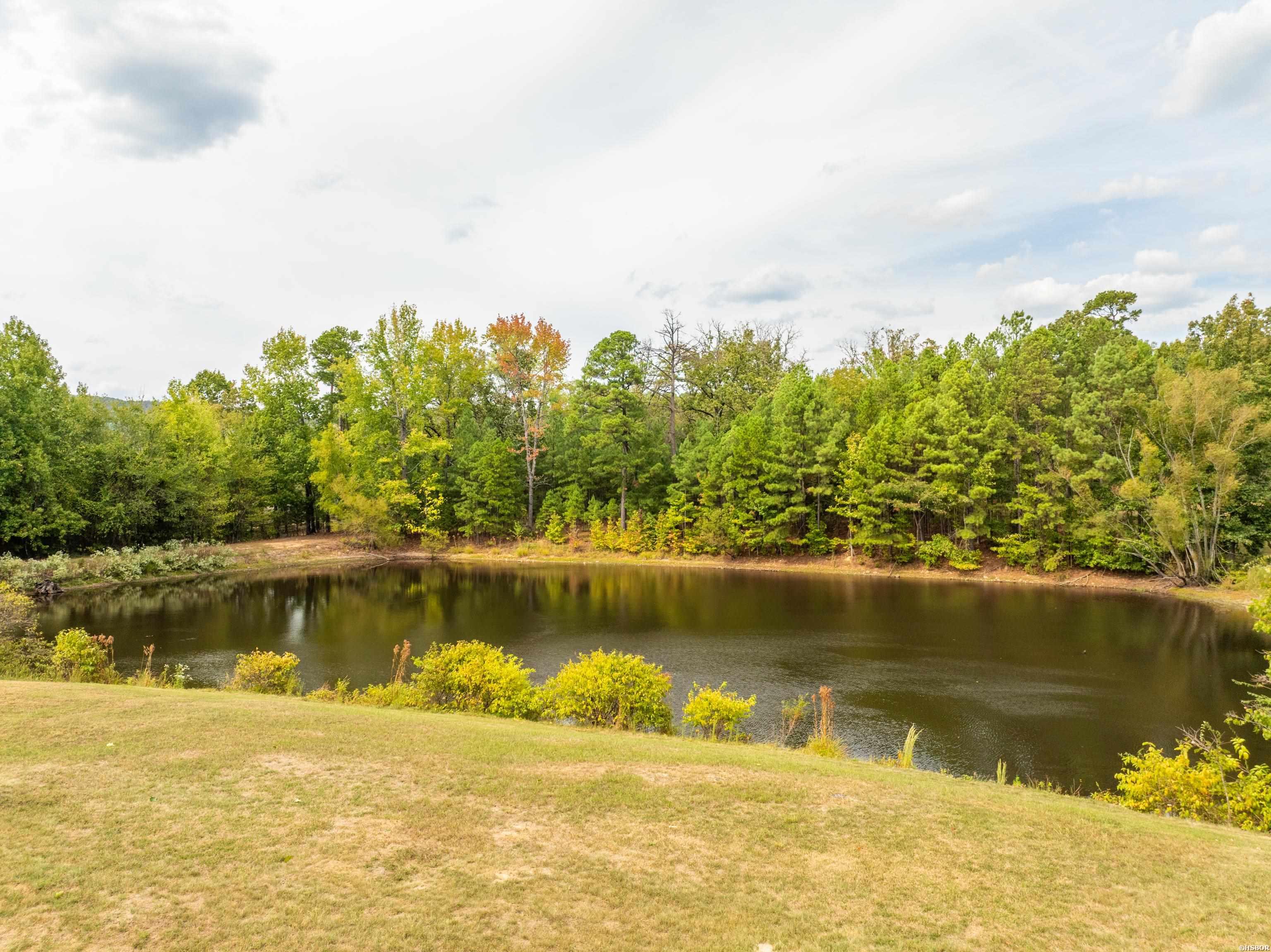 301 Bratton Drive Property Photo 12