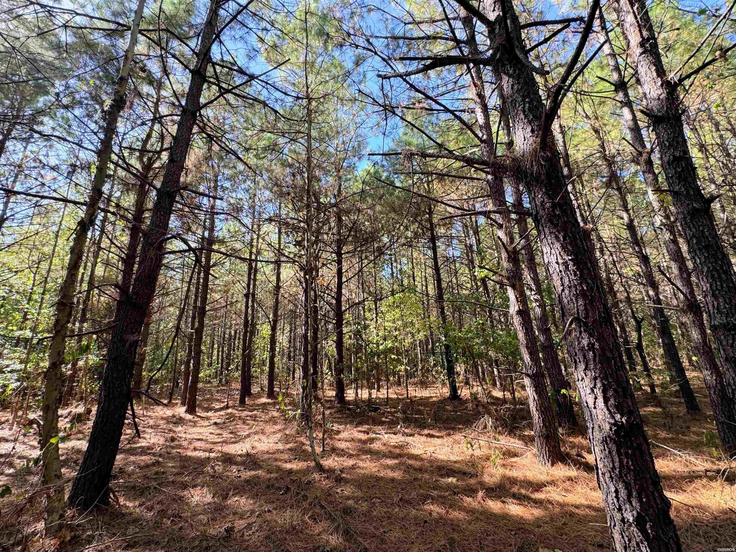 Tbd 38 Acres Dallas 429 Property Photo 2