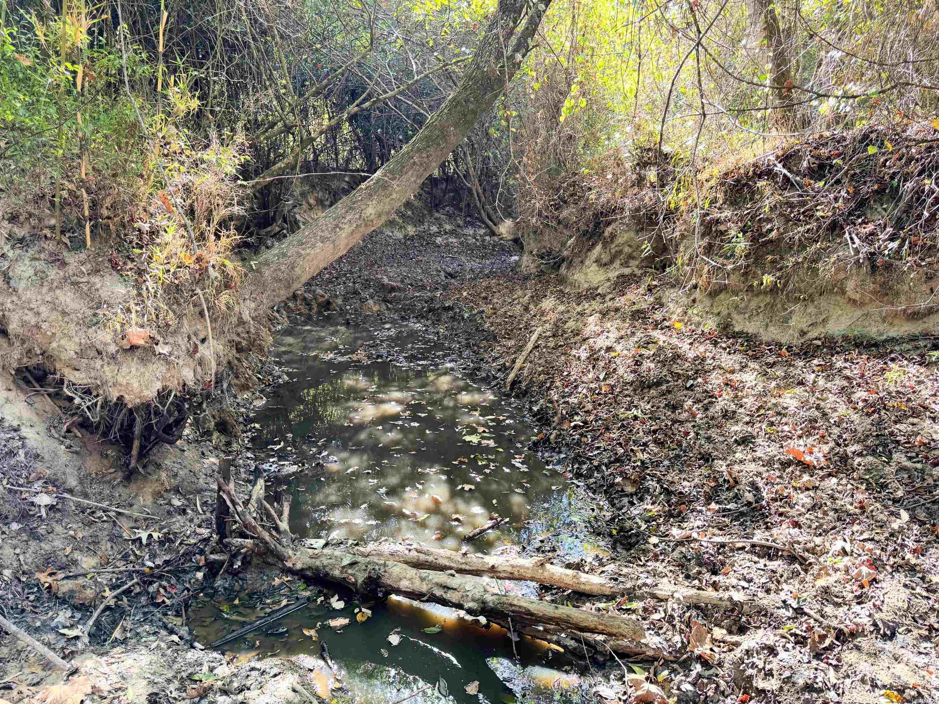 Tbd 38 Acres Dallas 429 Property Photo 4