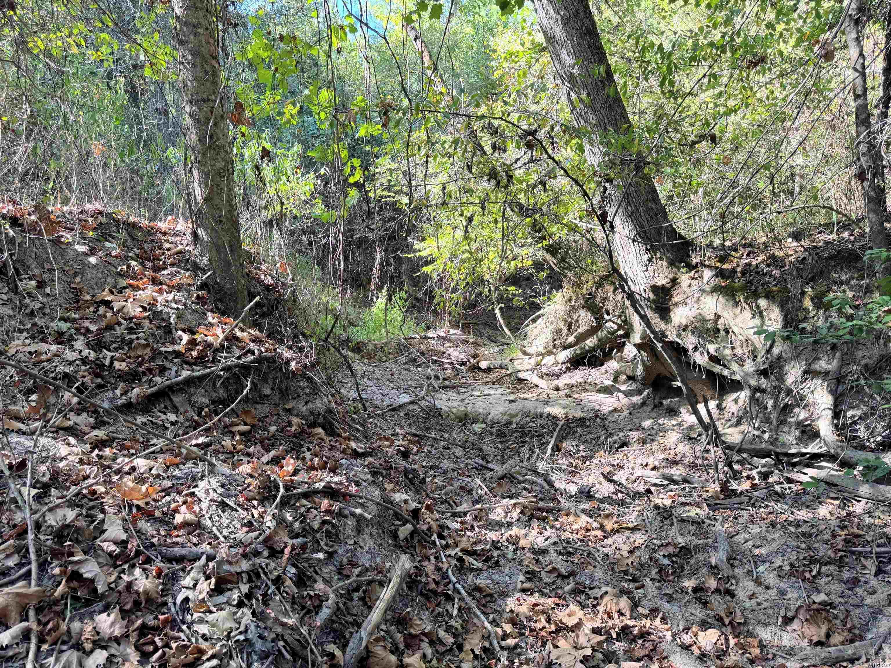 Tbd 38 Acres Dallas 429 Property Photo 5