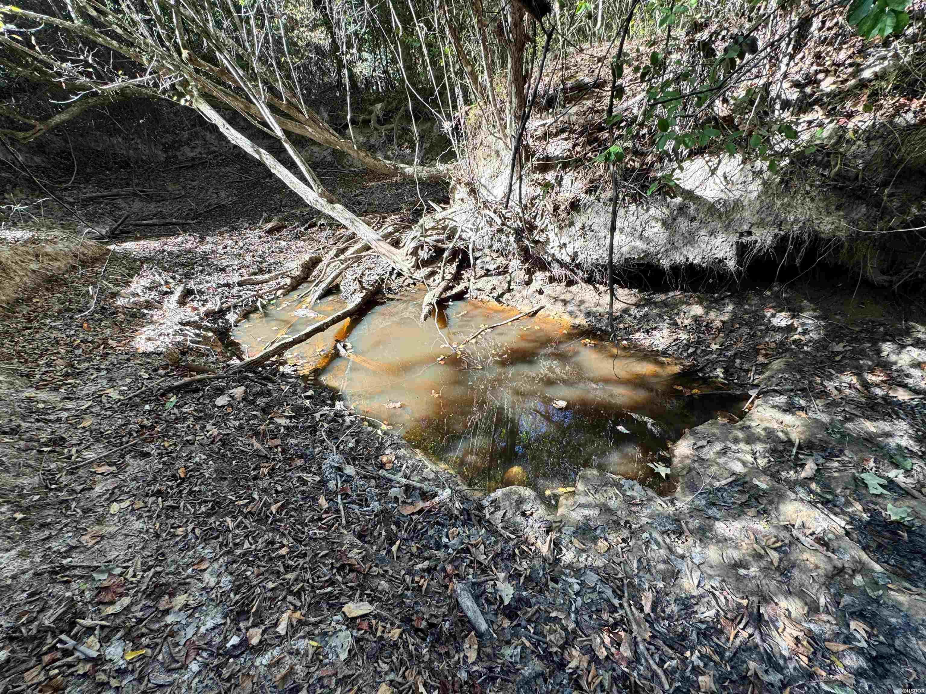 Tbd 38 Acres Dallas 429 Property Photo 7