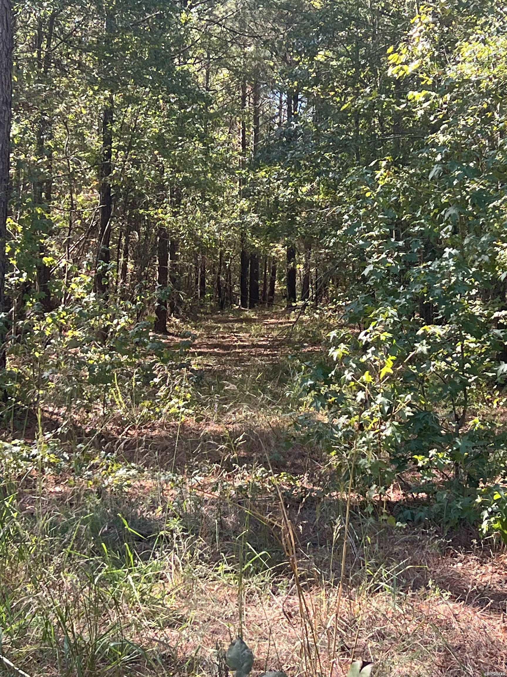 Xx Tract 11 Castle Property Photo 3