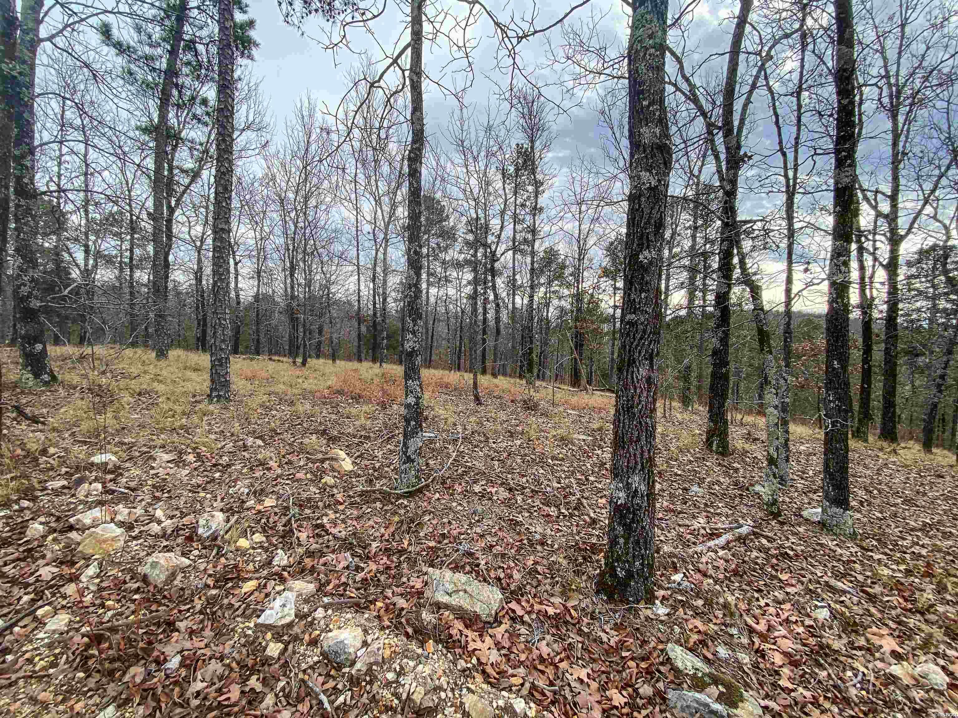000 Shorthorn Lane Property Photo 10
