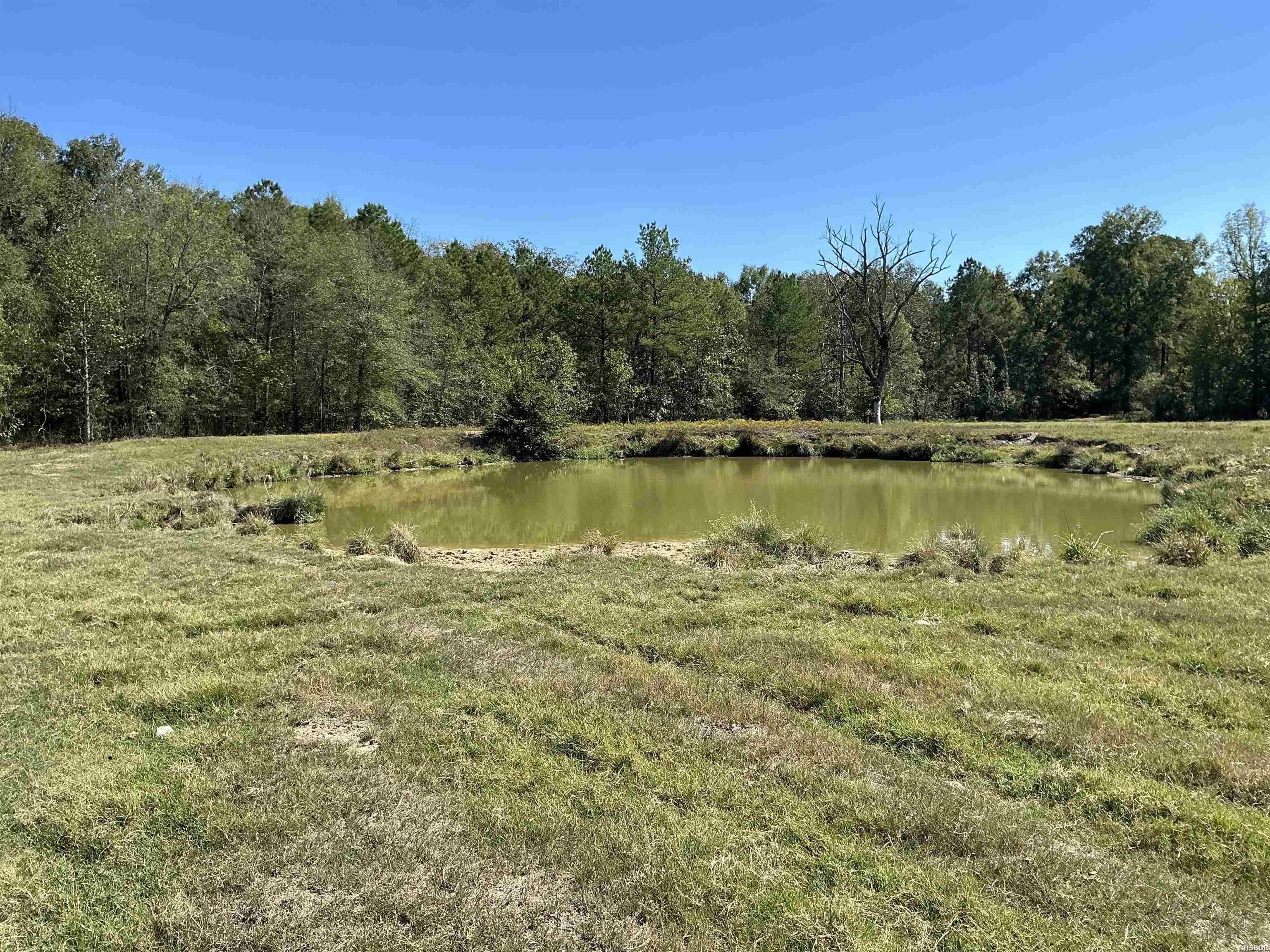 Tbd E Hwy 70 Property Photo 8