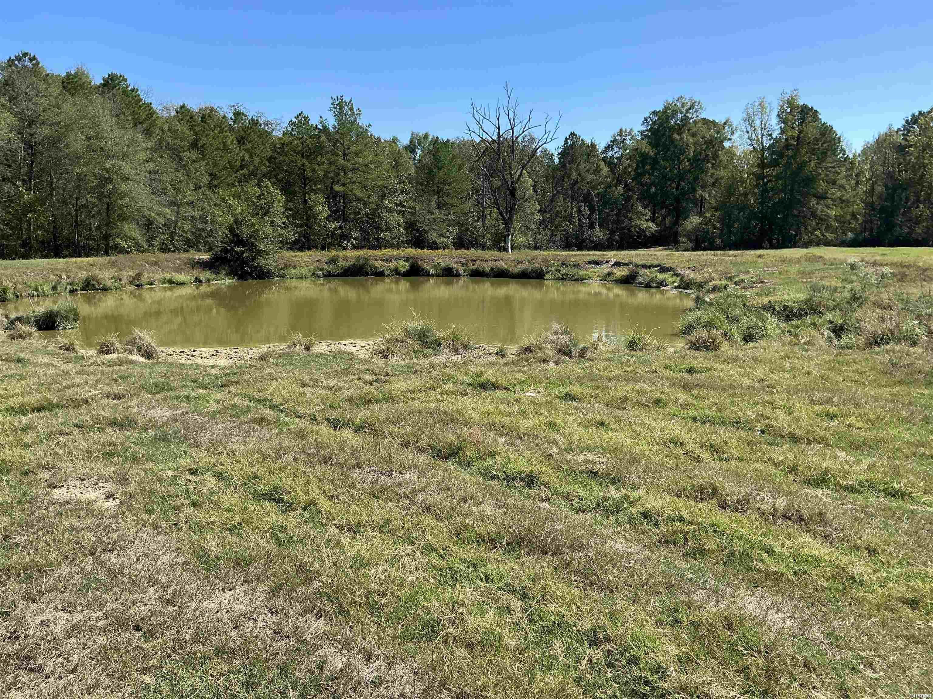 Tbd E Hwy 70 Property Photo 9