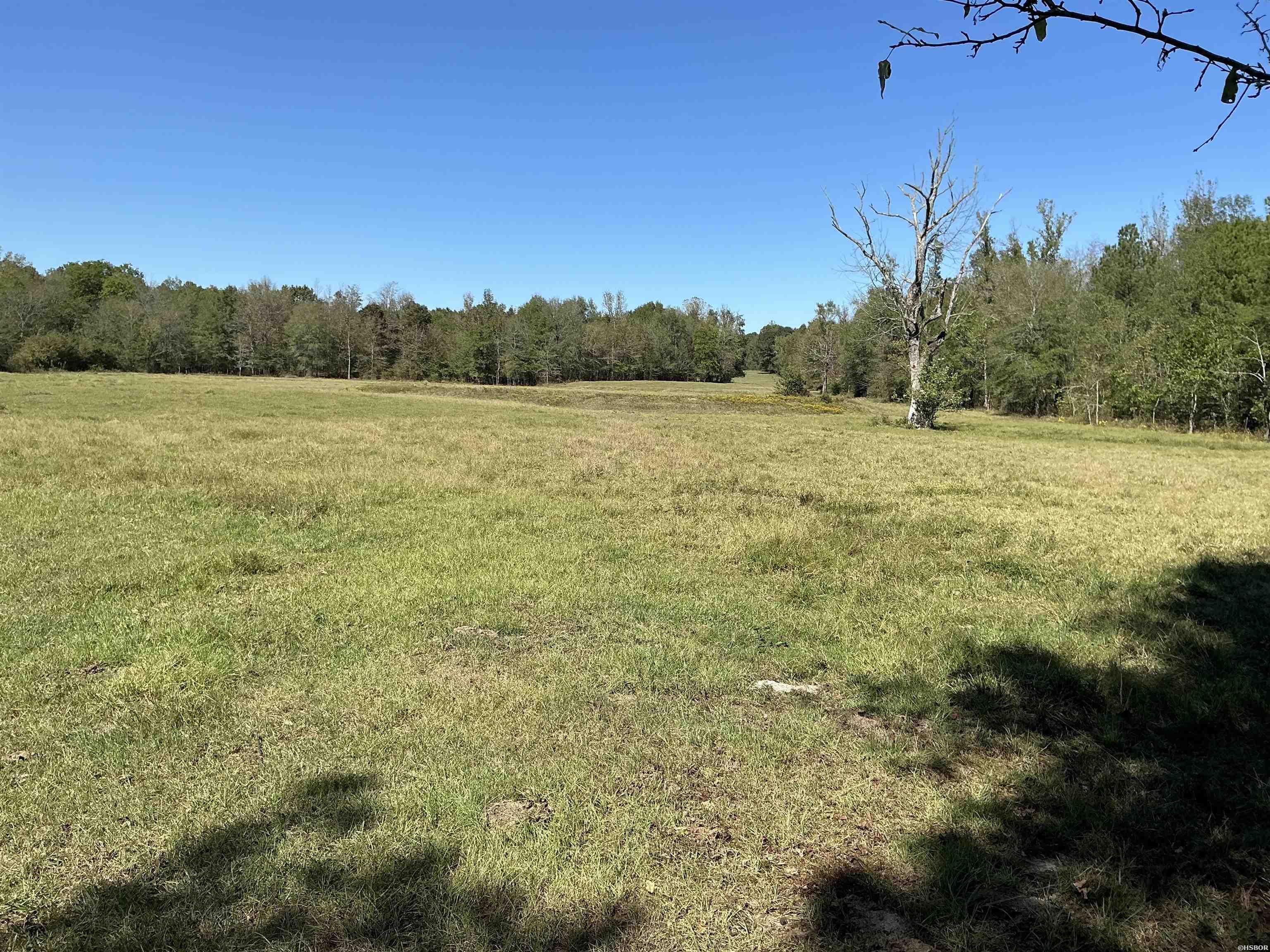 Tbd E Hwy 70 Property Photo 14