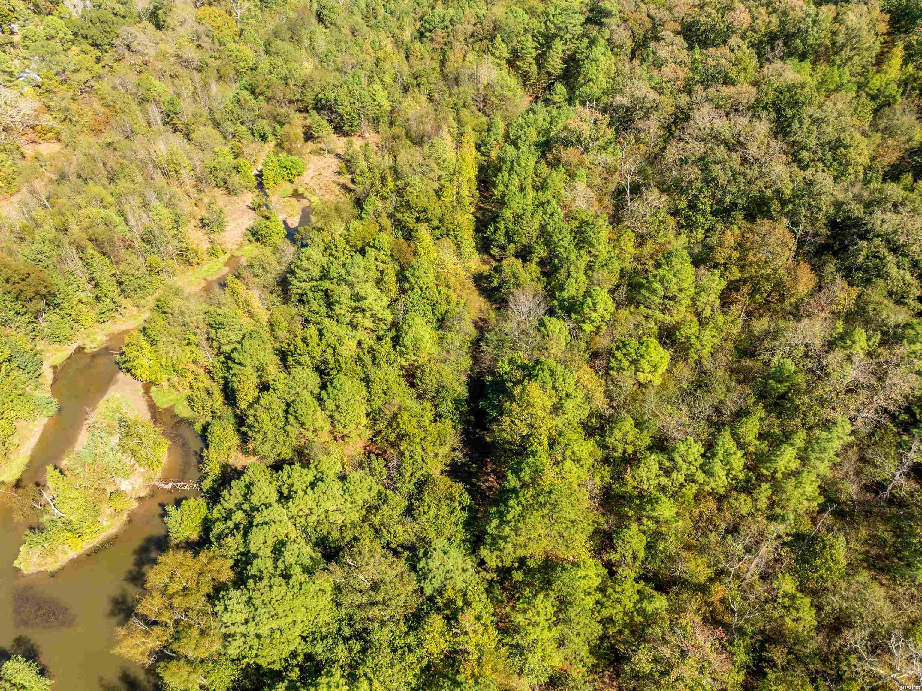 000 Shale Creek Trail Property Photo 13
