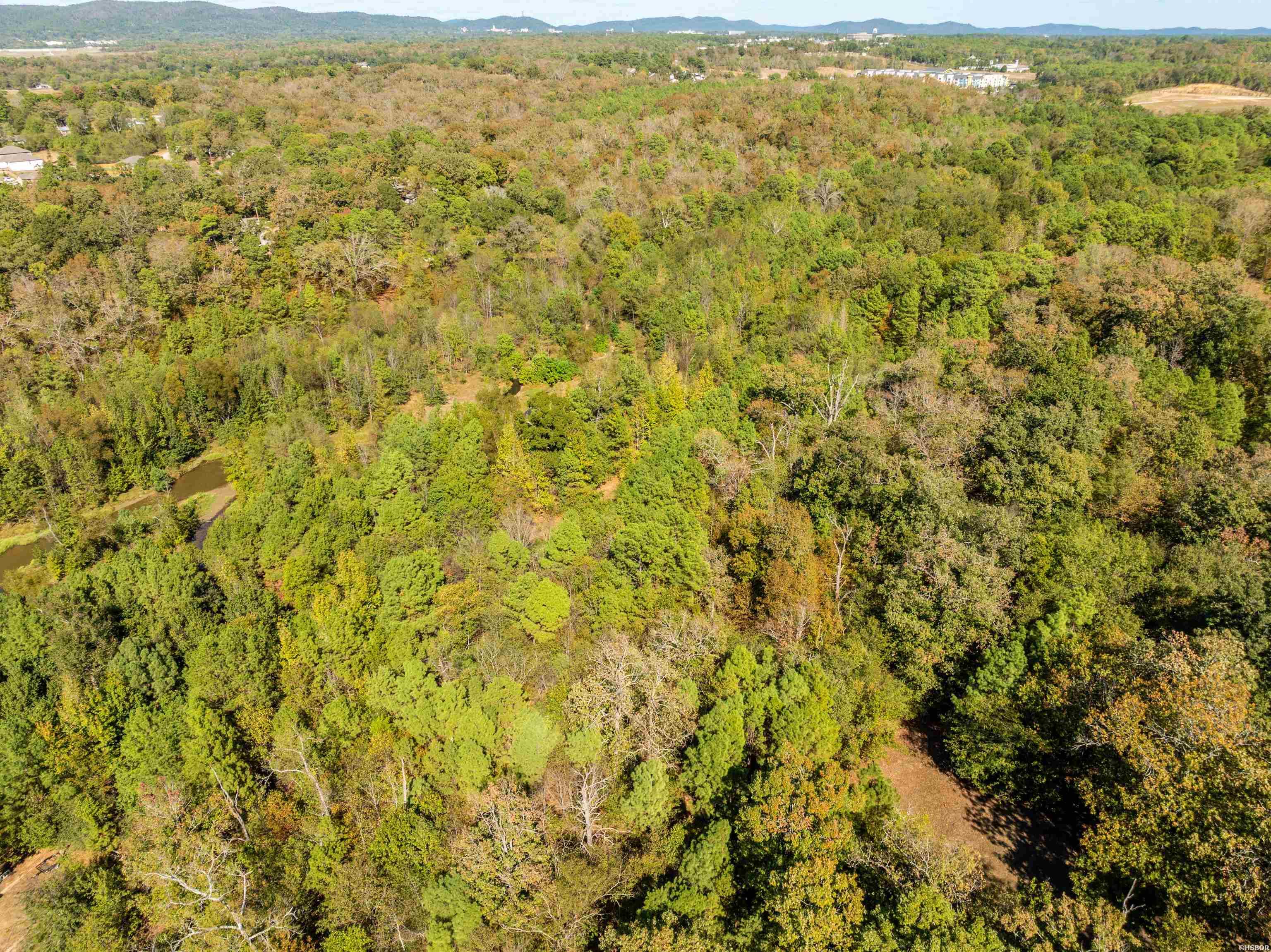 000 Shale Creek Trail Property Photo 14
