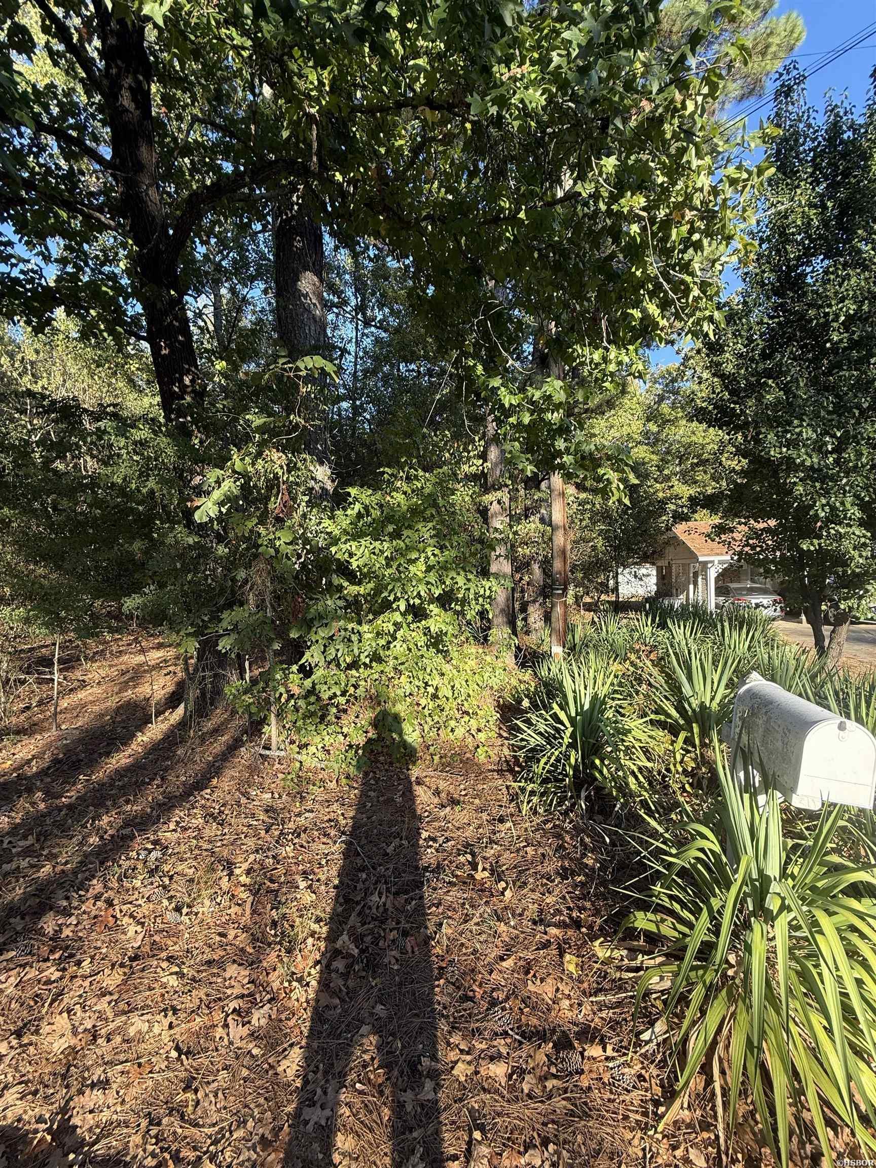 0 Rector Heights Drive Property Photo 2