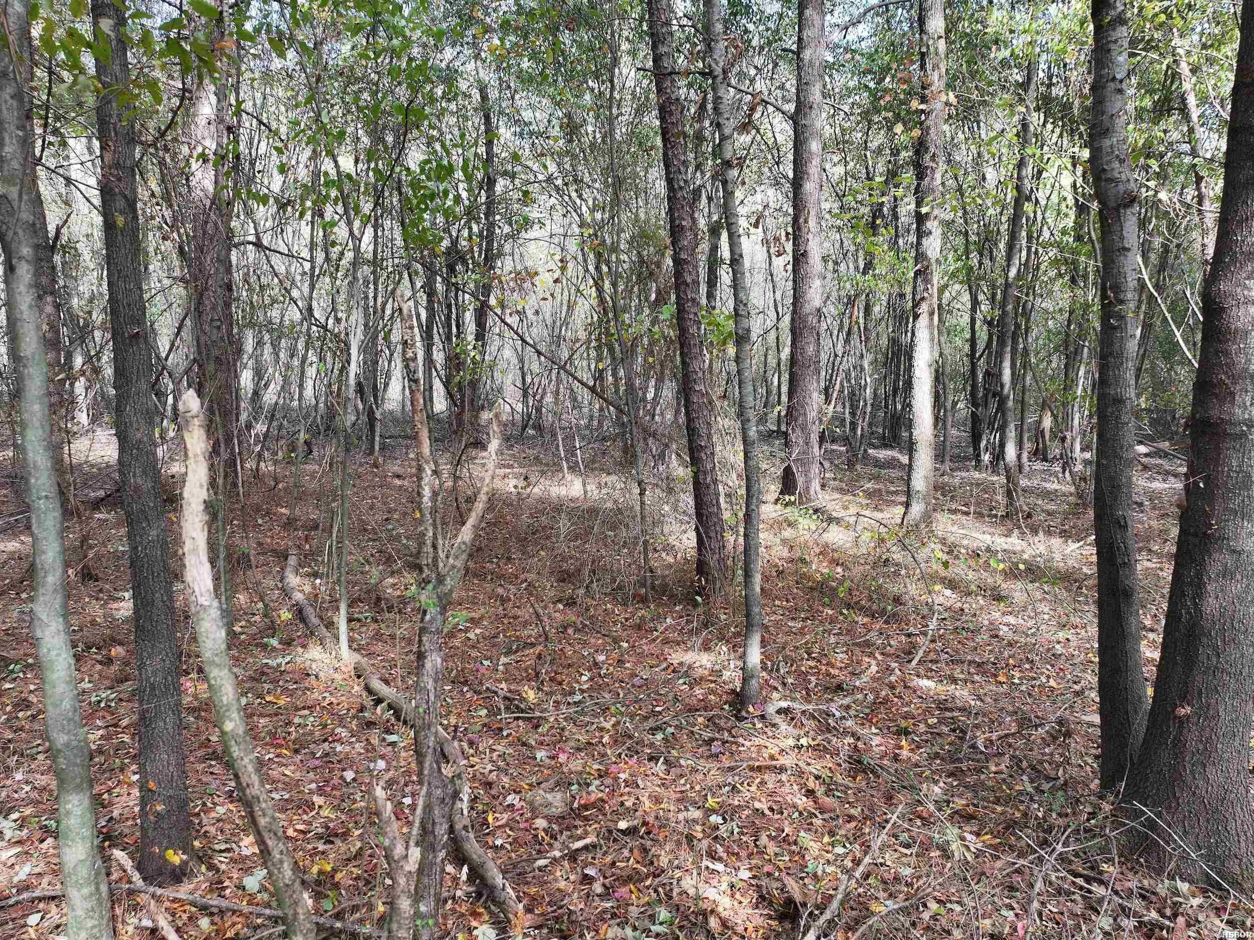 Tract 2 Hwy 84 Property Photo 9
