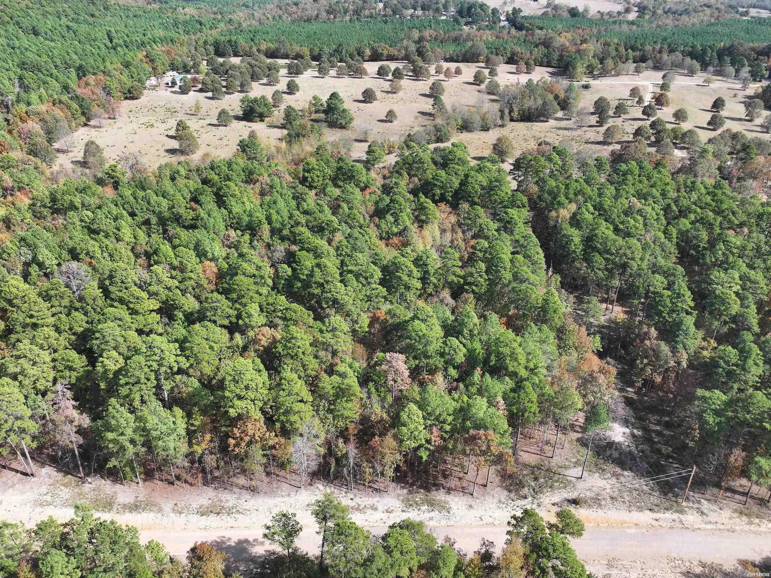 Tract 5 Hwy 84 Property Photo 1