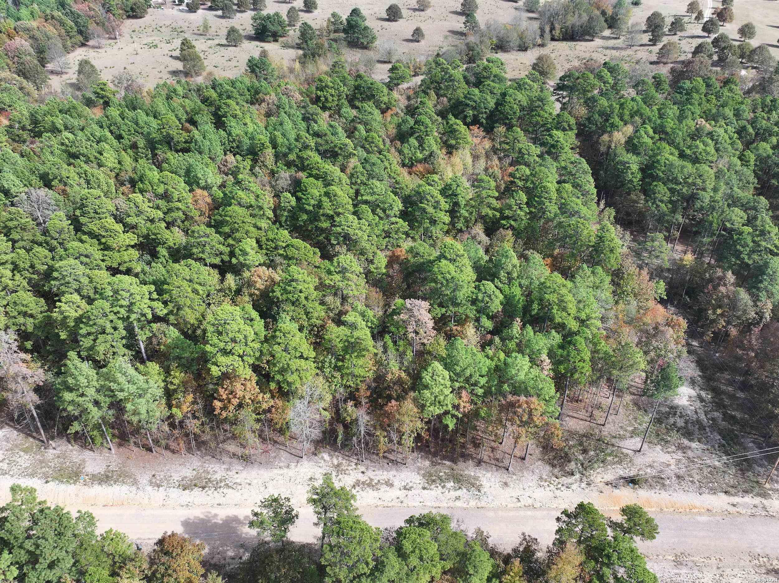 Tract 6 Hwy 84 Property Photo 2