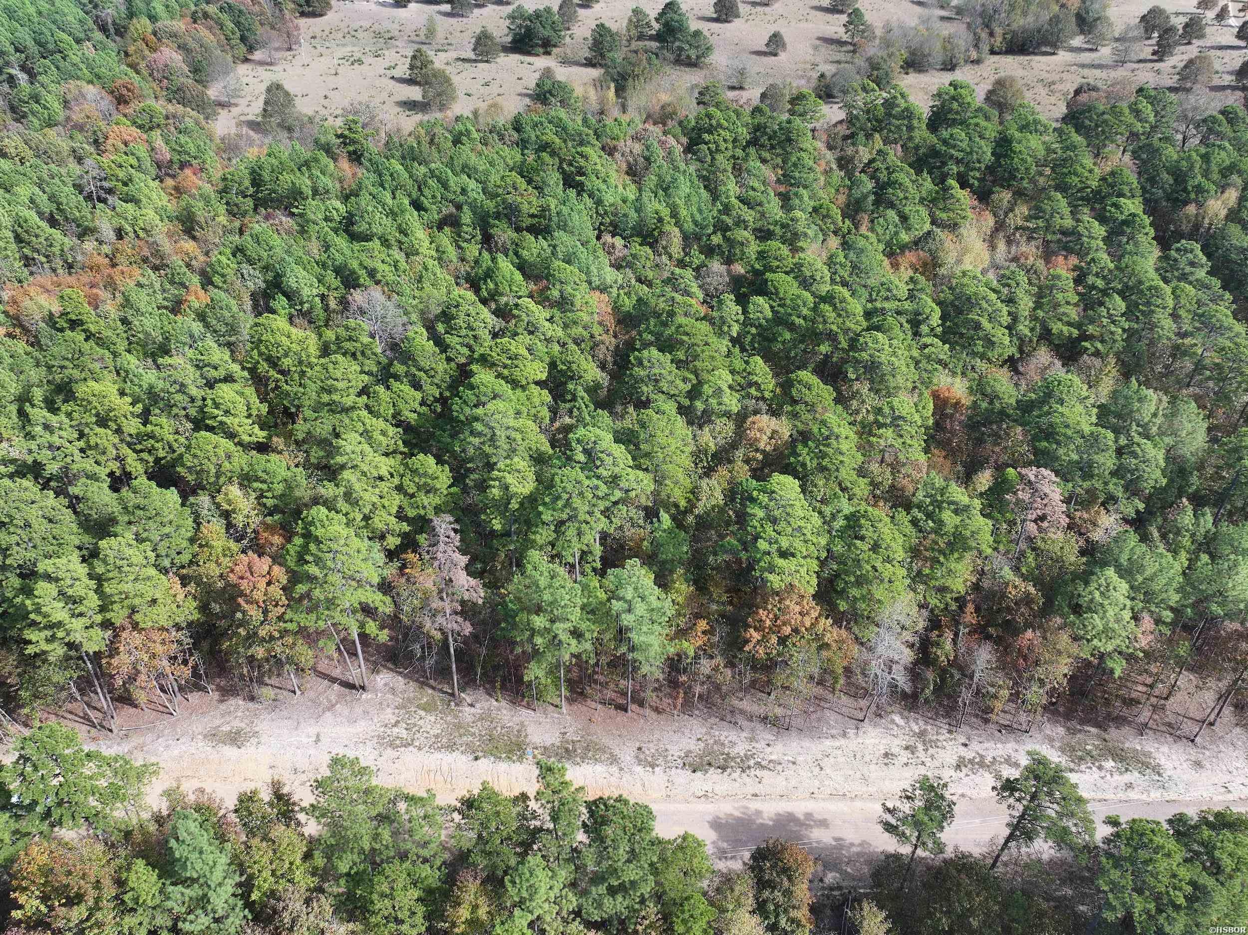 Tract 6 Hwy 84 Property Photo 3