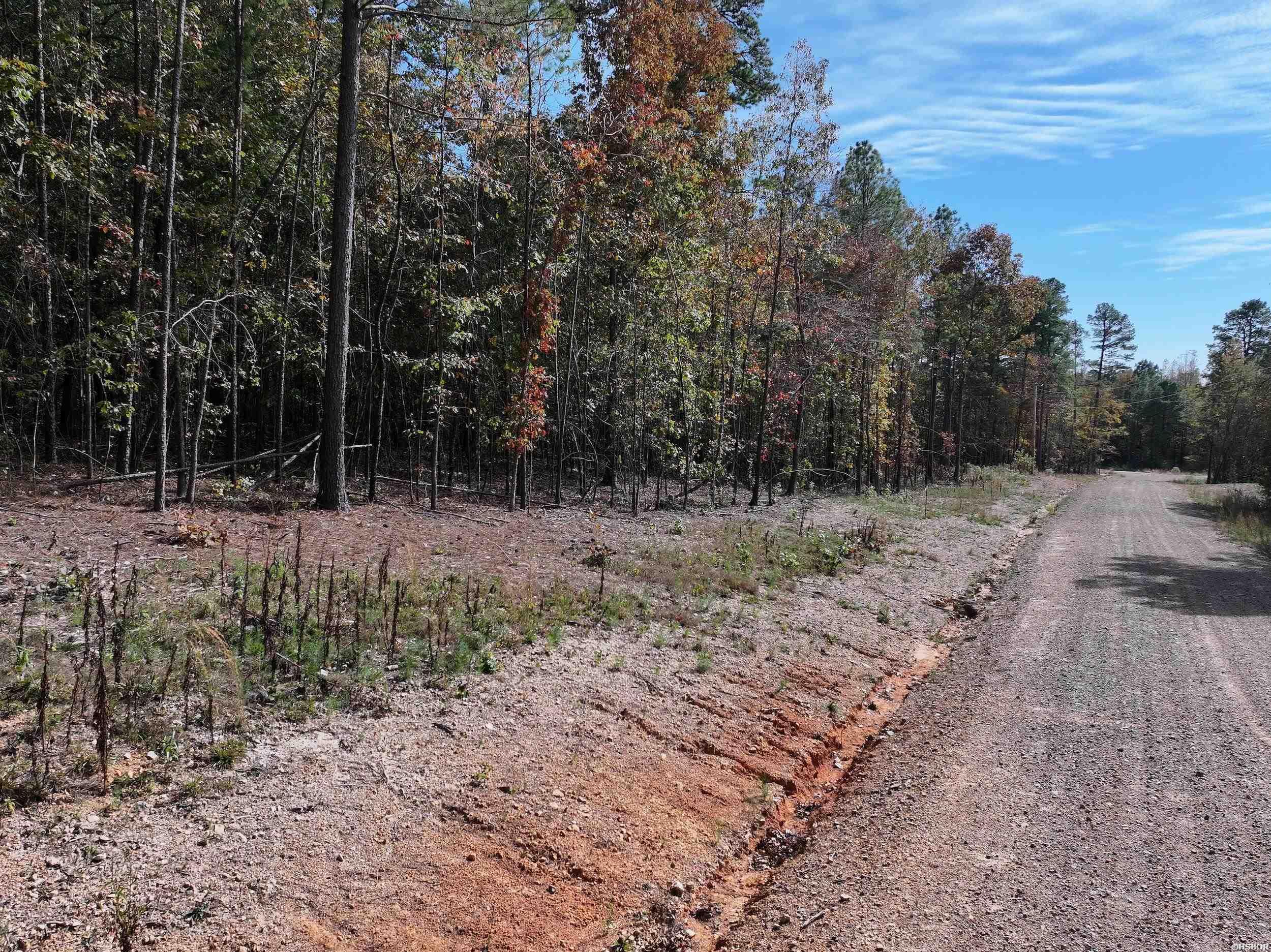 Tract 6 Hwy 84 Property Photo 4
