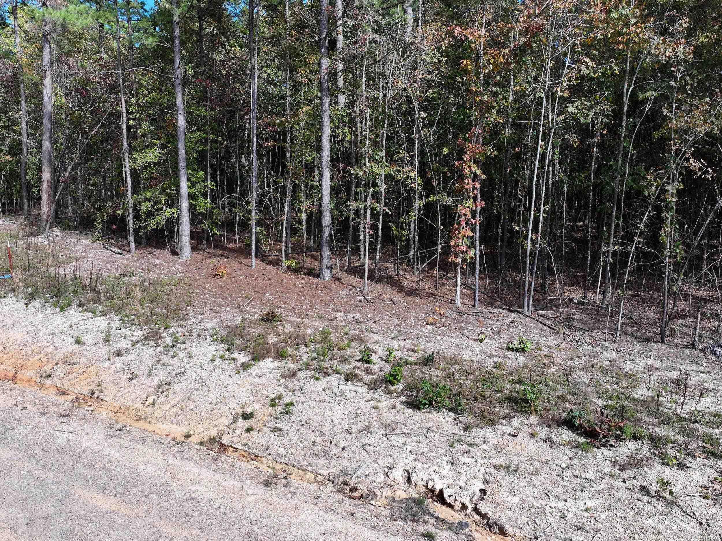 Tract 6 Hwy 84 Property Photo 5
