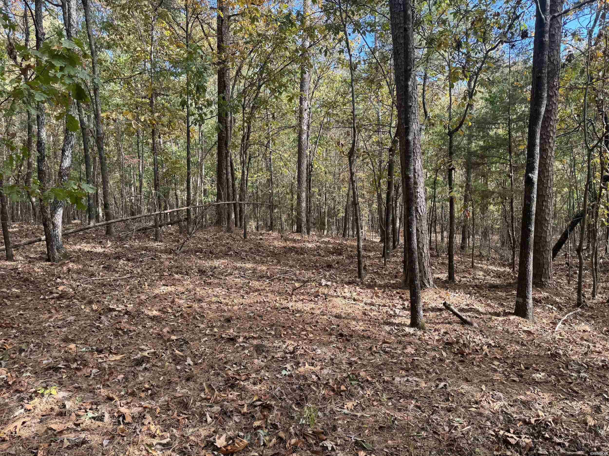 Tract 6 Hwy 84 Property Photo 6