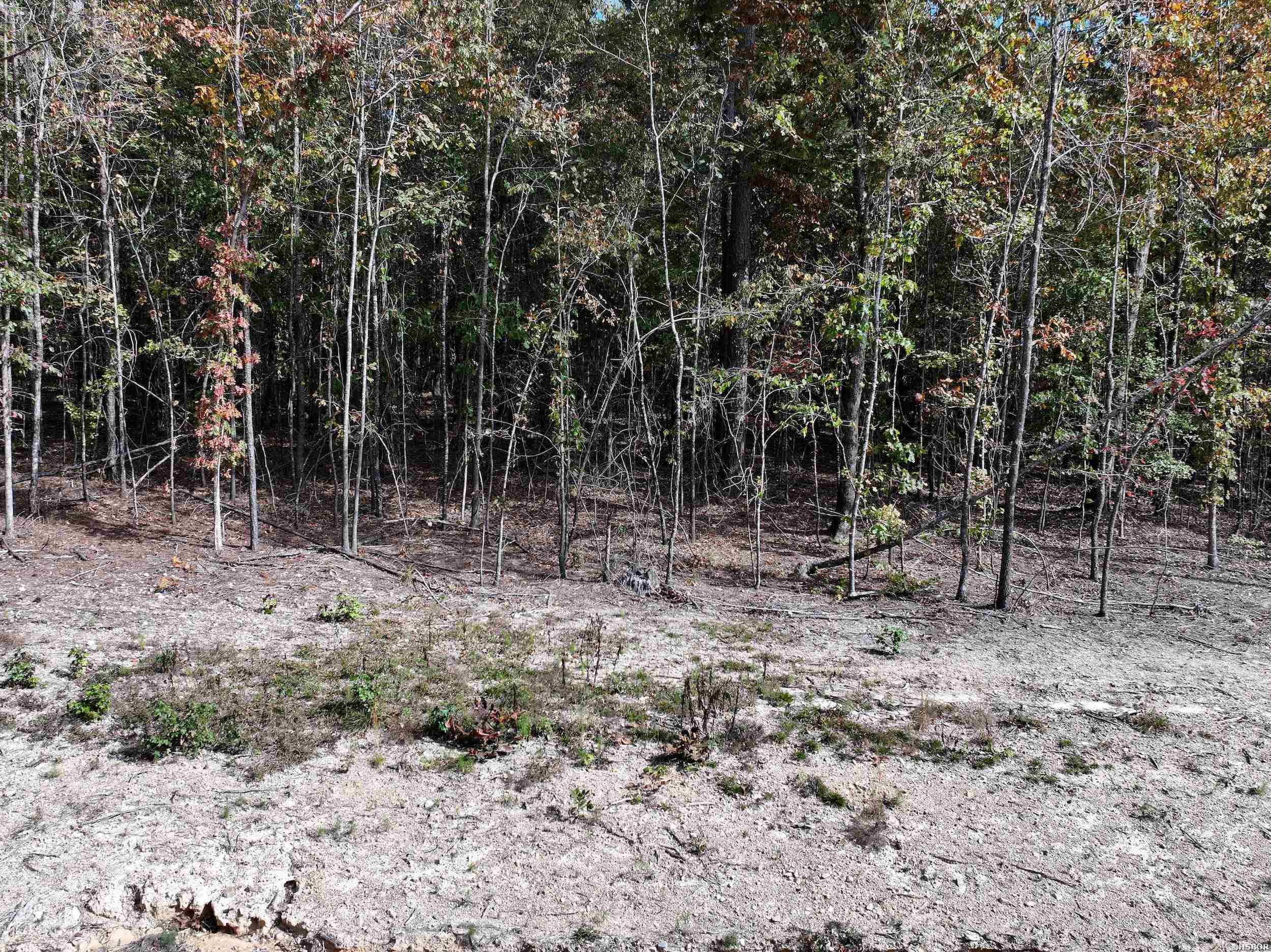 Tract 6 Hwy 84 Property Photo 8