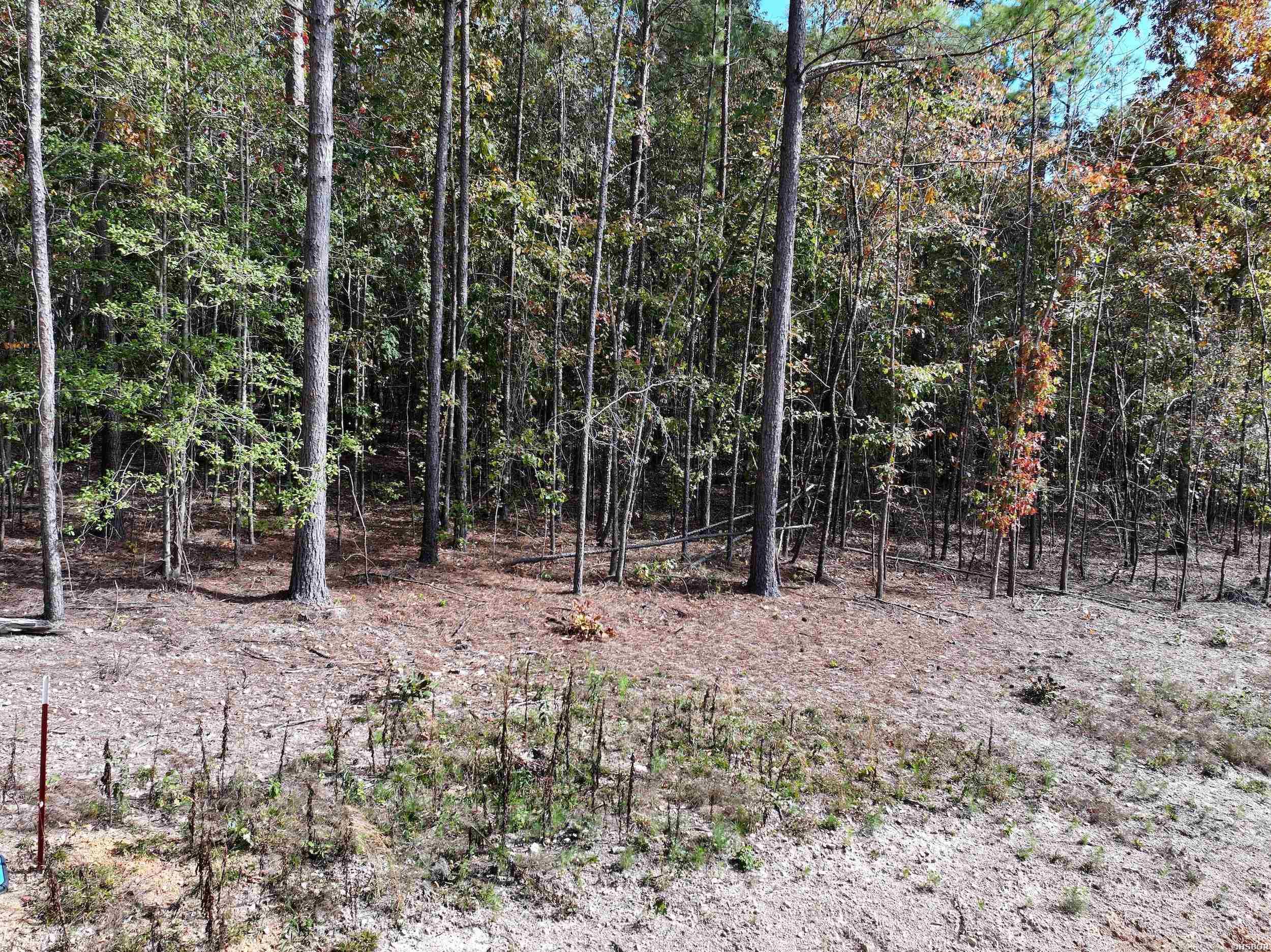 Tract 6 Hwy 84 Property Photo 10