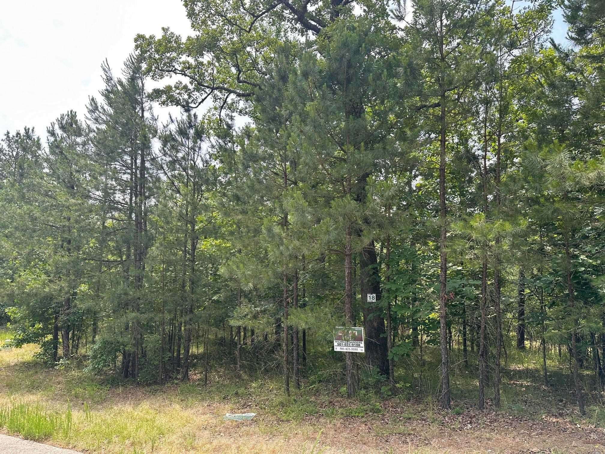 232 Dellmere Drive Property Photo 1