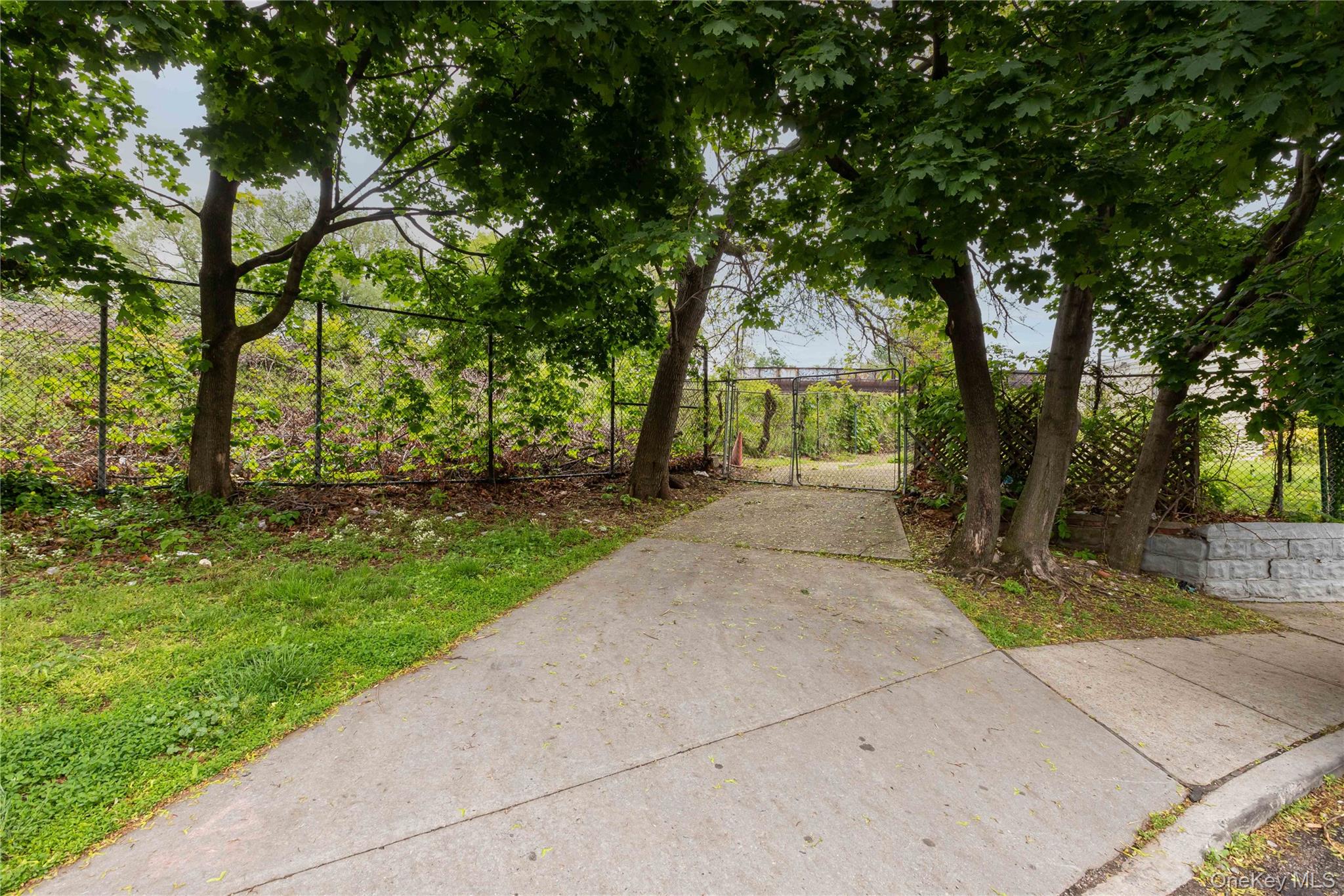 51-05 74th Street Property Photo 22
