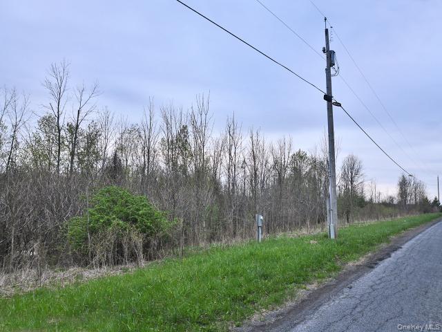 10537 Spook Woods Rd Property Photo 3