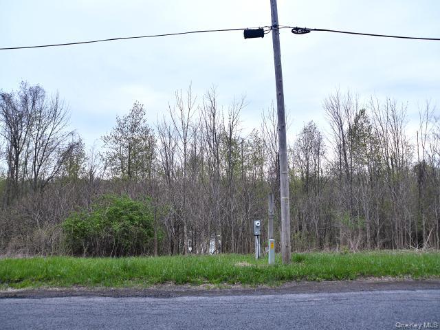 10537 Spook Woods Rd Property Photo 4