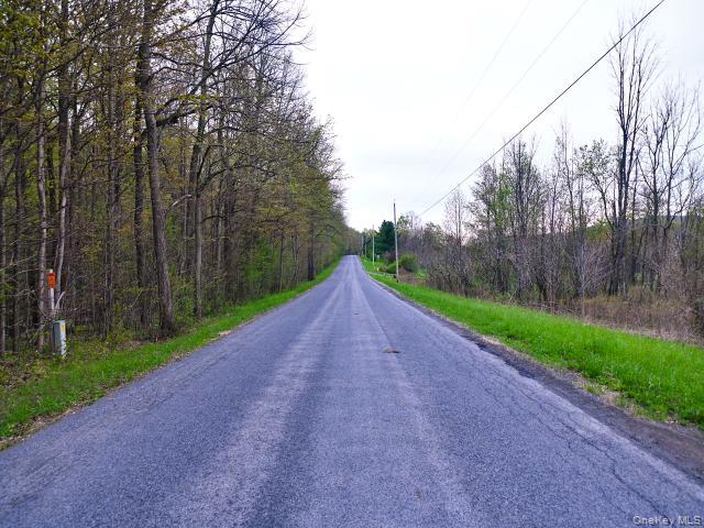 10537 Spook Woods Rd Property Photo 6