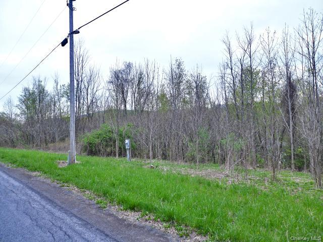 10537 Spook Woods Rd Property Photo 7