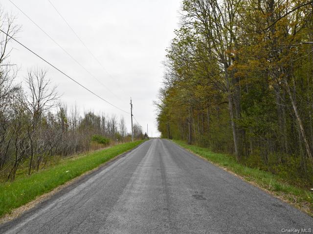 10537 Spook Woods Rd Property Photo 9