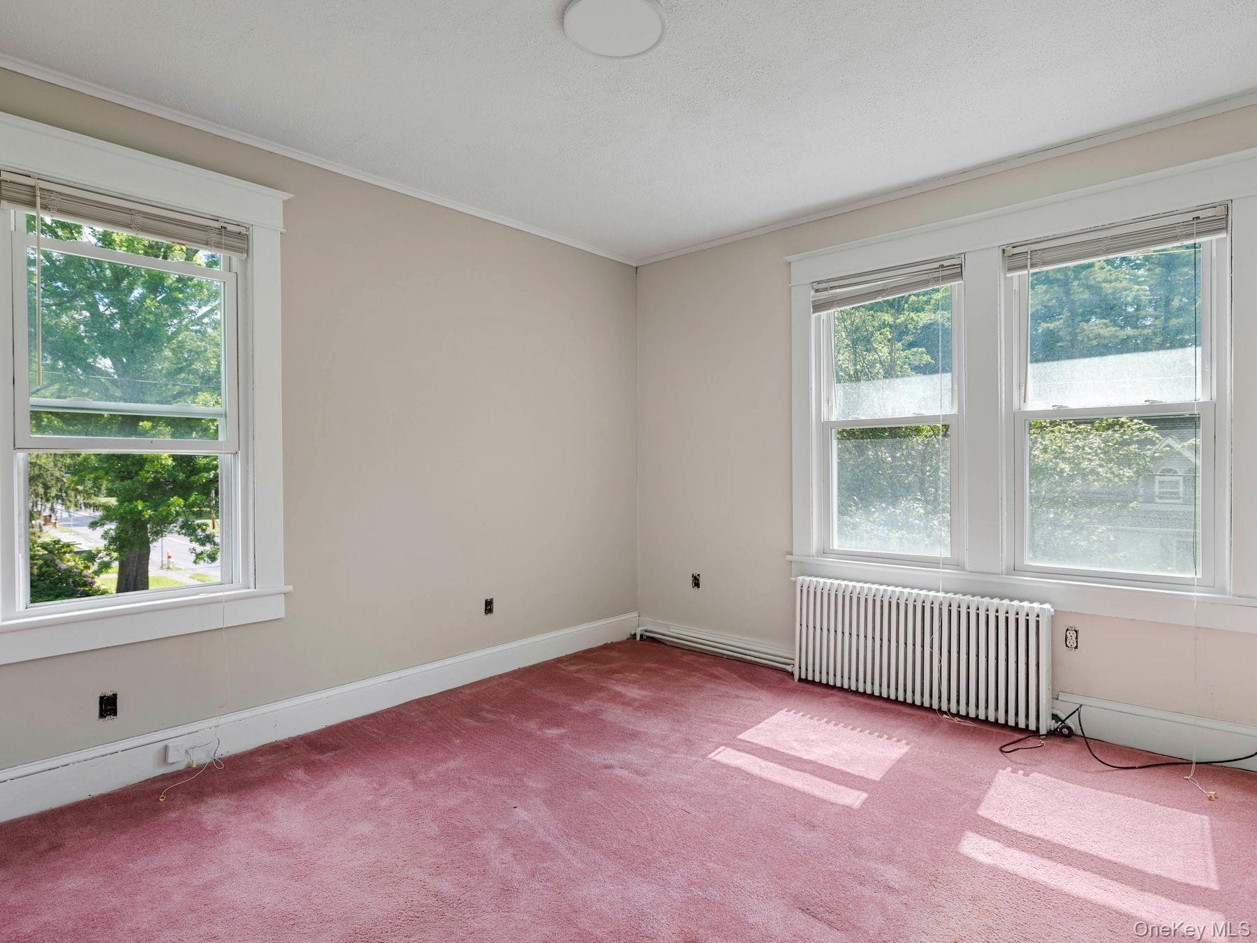 169 E Chester Street Property Photo 29