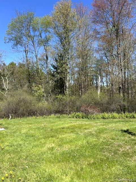3226 State Route 52 Property Photo 20