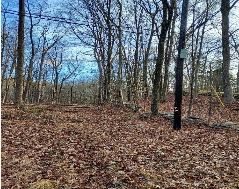 Laurie Lane Property Photo 1