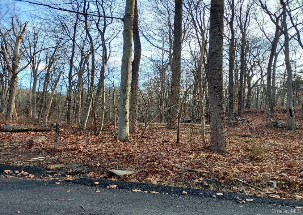 Laurie Lane Property Photo 2