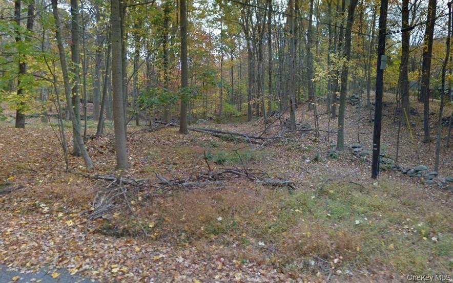 Laurie Lane Property Photo 6