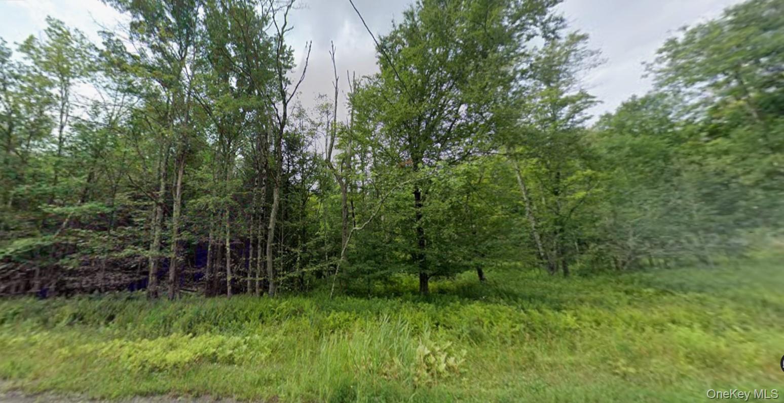 780 Tanzman Road Property Photo 1