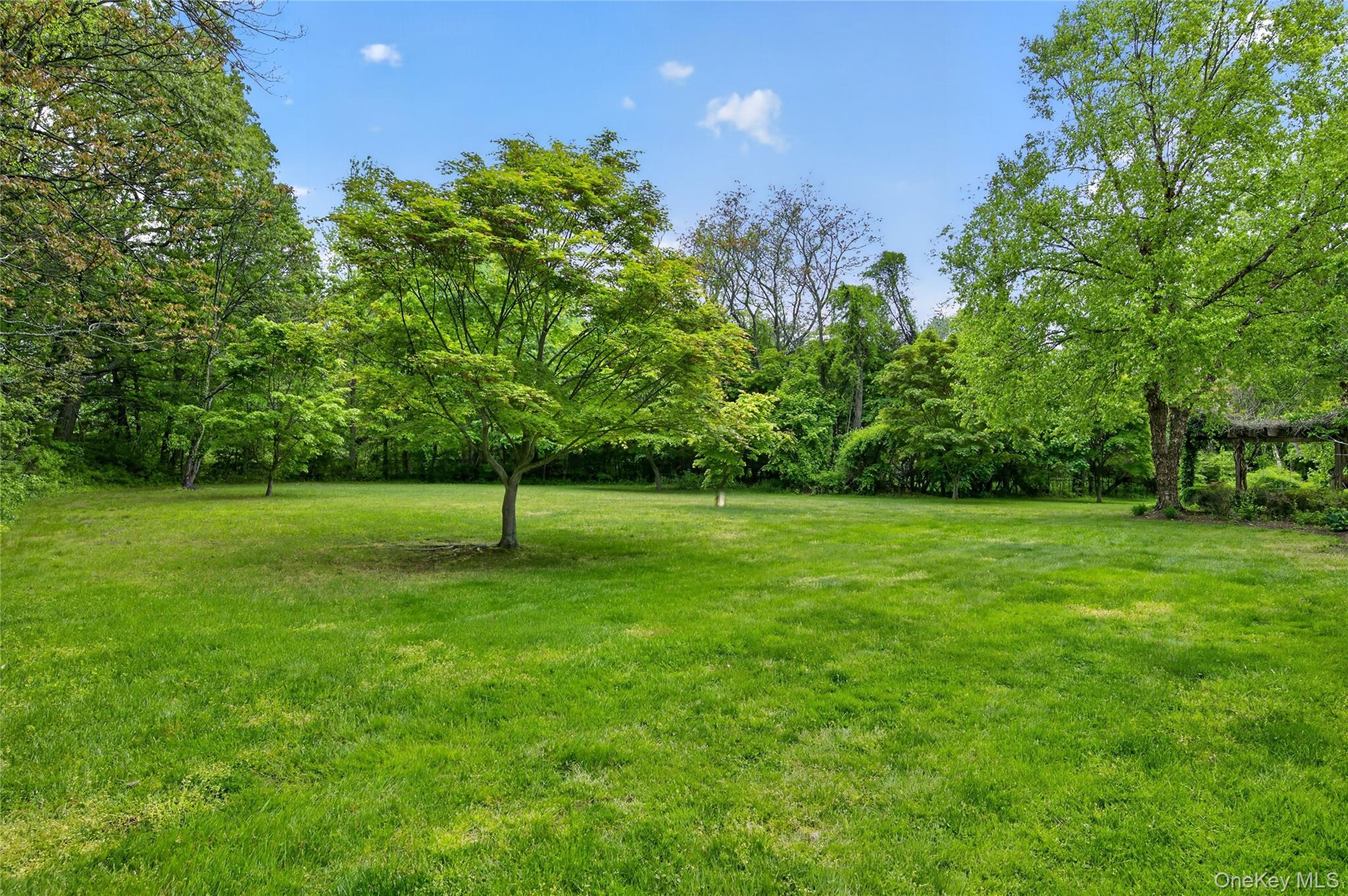 1 Springwood Path Property Photo 42
