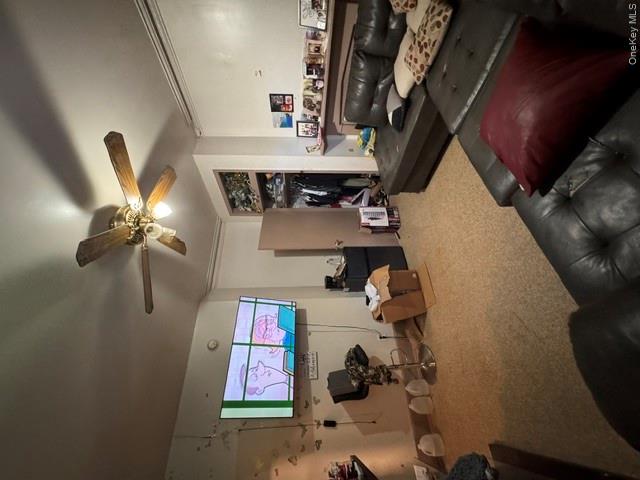 93 Ann Street Property Photo 14