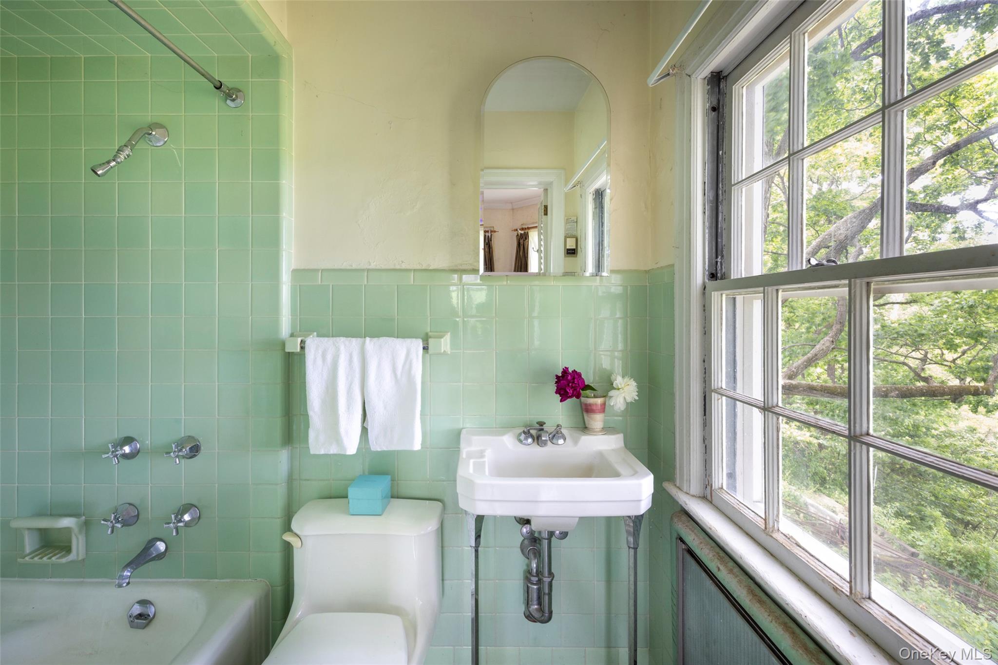 169 Albany Avenue Property Photo 44