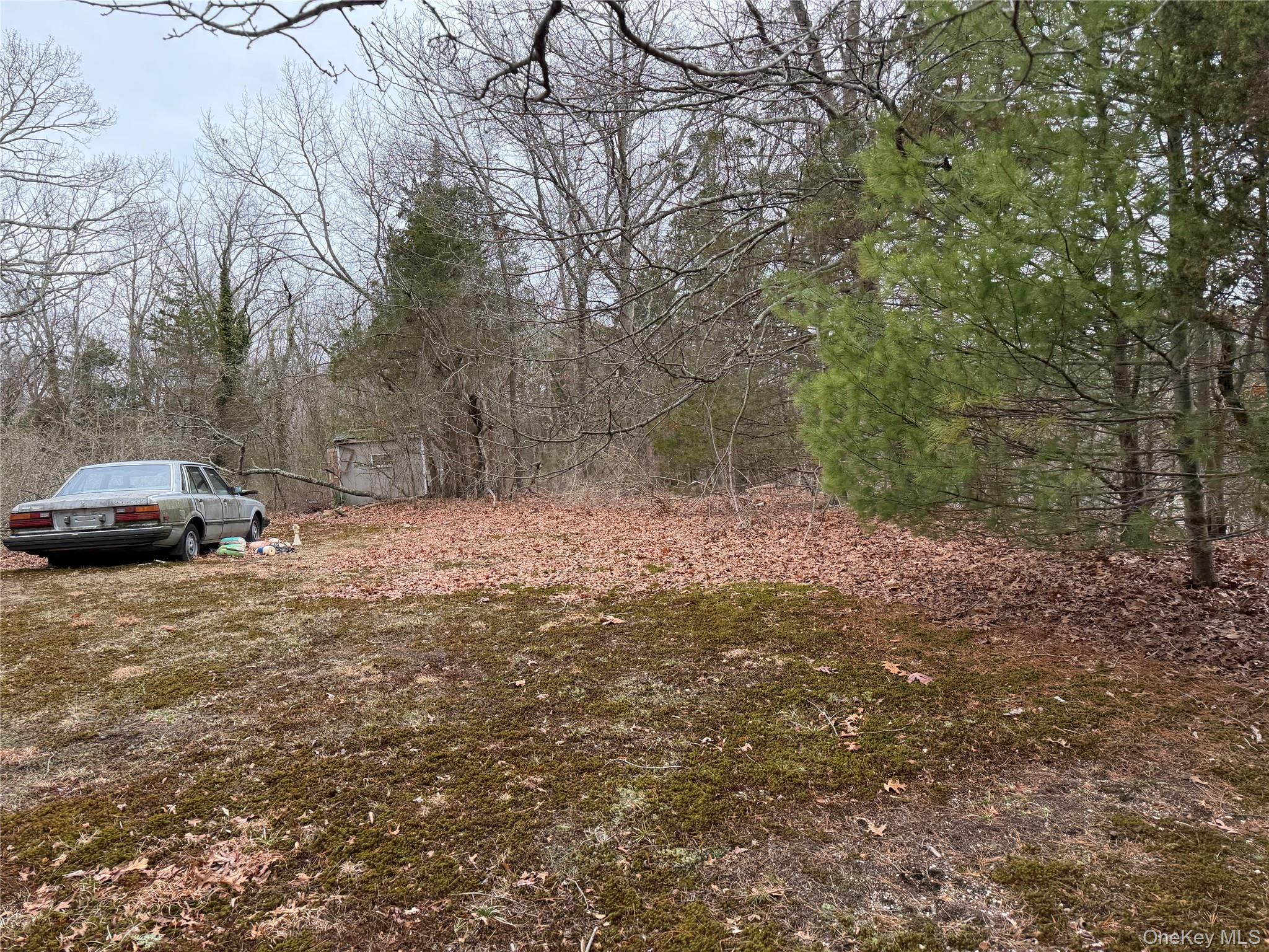 171 Stony Hollow Road Property Photo 2