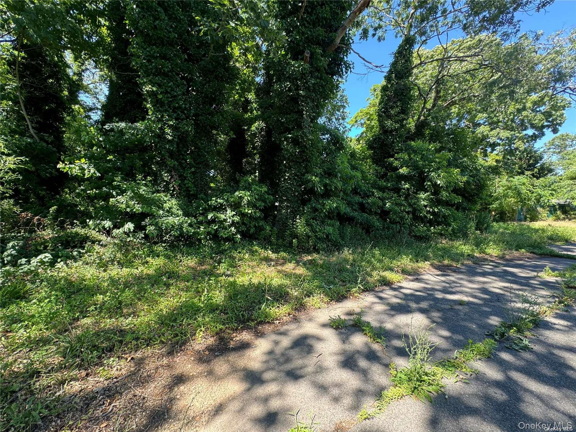 215 Cortland Street Property Photo 2