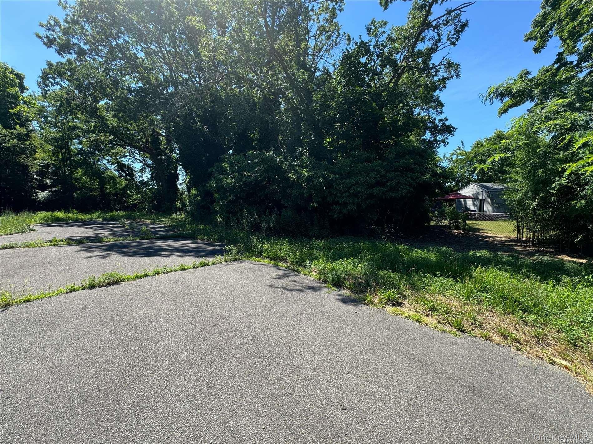 215 Cortland Street Property Photo 4