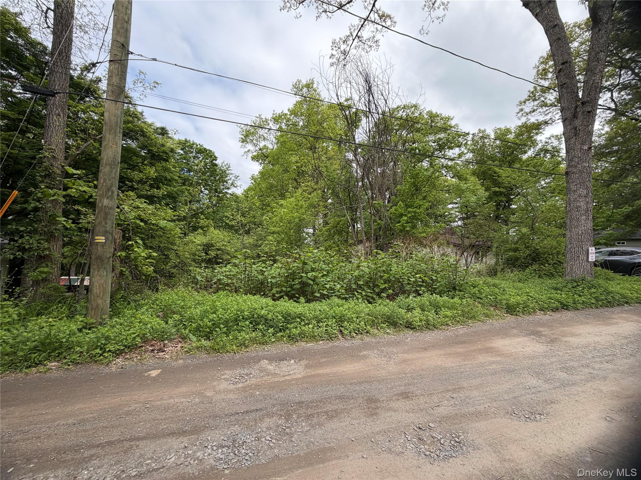 48 Paradise Trail Property Photo 1