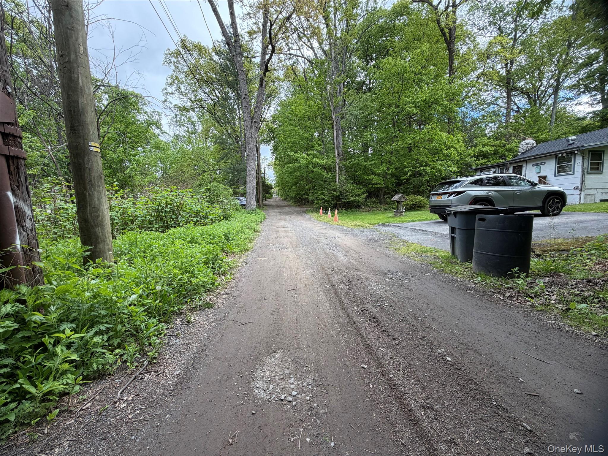 48 Paradise Trail Property Photo 2